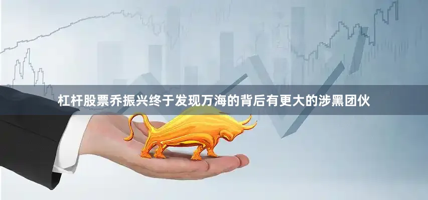 杠杆股票乔振兴终于发现万海的背后有更大的涉黑团伙
