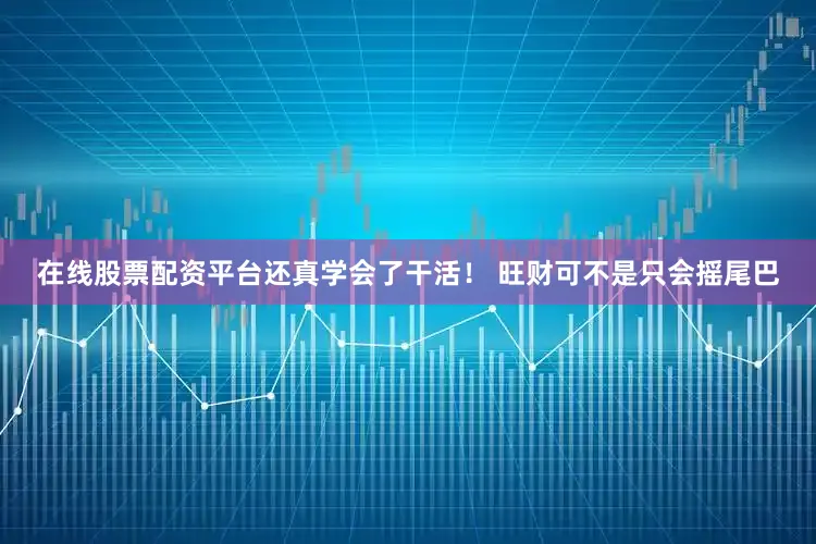 在线股票配资平台还真学会了干活！ 旺财可不是只会摇尾巴