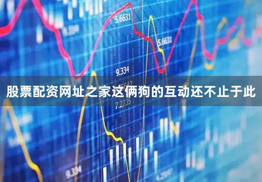 股票配资网址之家这俩狗的互动还不止于此