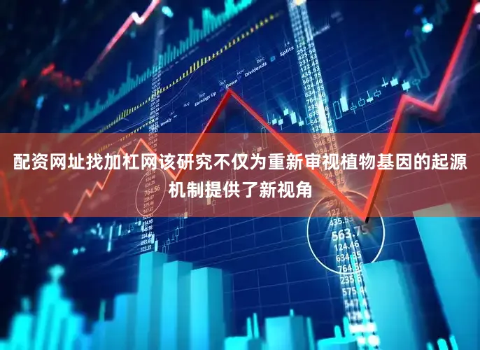 配资网址找加杠网该研究不仅为重新审视植物基因的起源机制提供了新视角