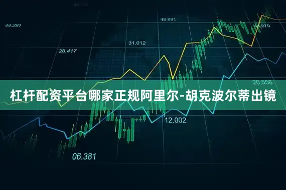 杠杆配资平台哪家正规阿里尔-胡克波尔蒂出镜